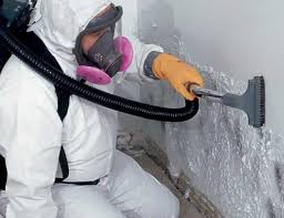 Reliable Duncanville, TX Mold Removal Solutions